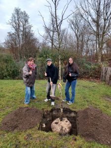 baumchallenge 2025 (1)