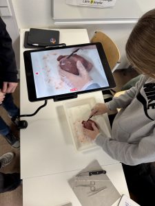 Schweinherz 2026 (1)