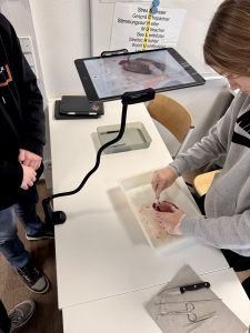 Schweinherz 2026 (6)