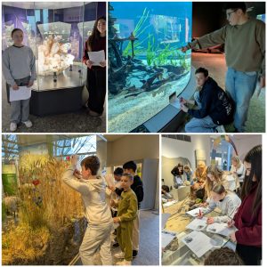 2026- Fahrt zum Naturkundemuseum Bio-Wahlpflichtfach