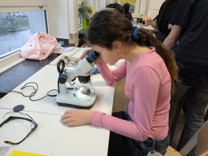 mintmachen2025-1 (11)