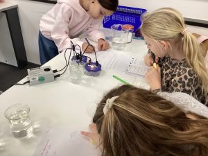 mintmachen2025-1 (12)