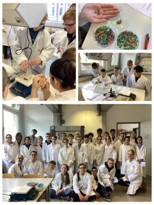 2026-Mint-Projekt in Kitz.do, Dortmund